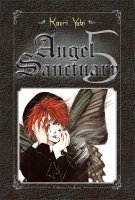 Deluxe Angel Sanctuary Vol05.jpg